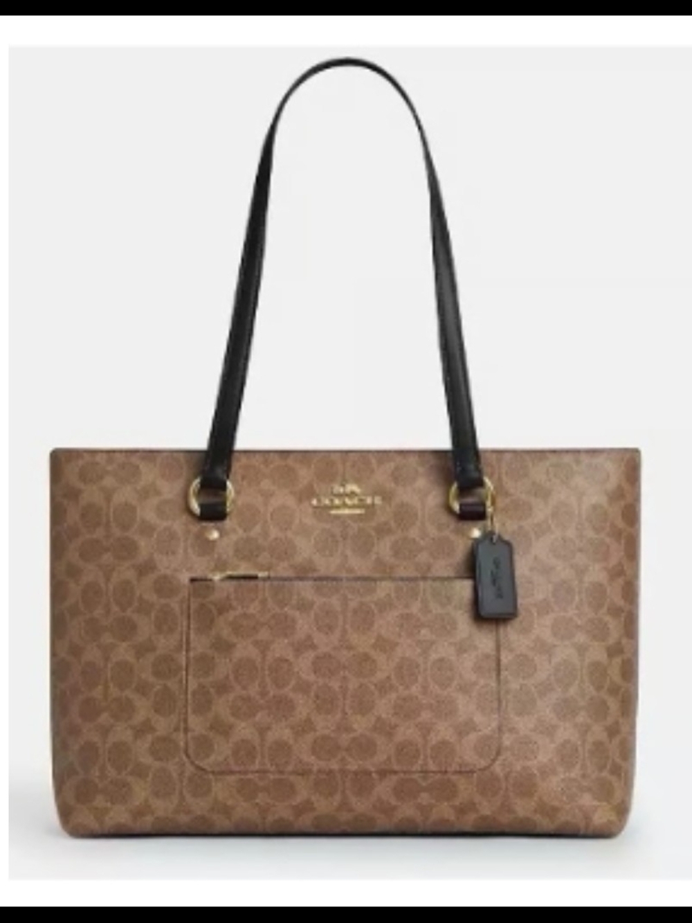Coach Signature Canvas Tote Bag in Brown